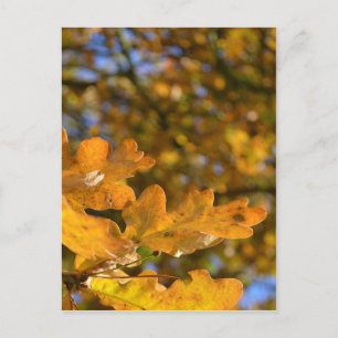 Cartão postal Oak Folaves