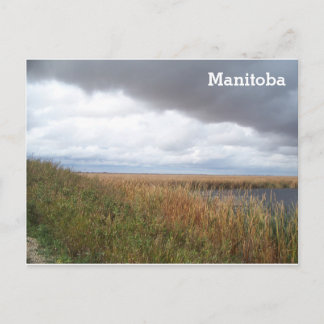 Cartão Postal Oak Hammock Marsh