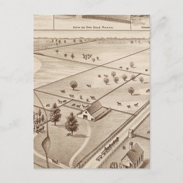 Cartão Postal Oakdale Ranch (Frente)