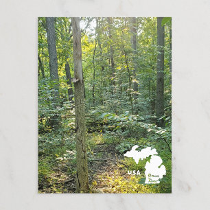 Cartão Postal Oakwoods Metropark Rastrear Floresta De Verão Com