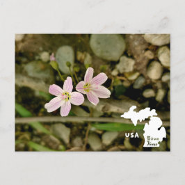Cartão Postal Oakwoods Metropark Springbeaut com Logotipo