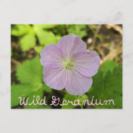 Cartão Postal Oakwoods Metropark Wild Geranium com Texto