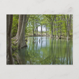 Cartão postal - "Oasis"