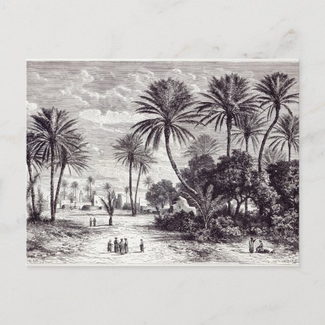 Cartão Postal Oásis de Gafsa: Tunis (Frente)