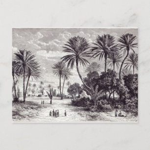 Cartão Postal Oásis de Gafsa: Tunis