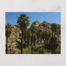 Cartão Postal Oásis Lost Palms I no Parque Nacional Joshua Tree