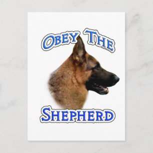 Cartão Postal Obedeça ao German shepherd