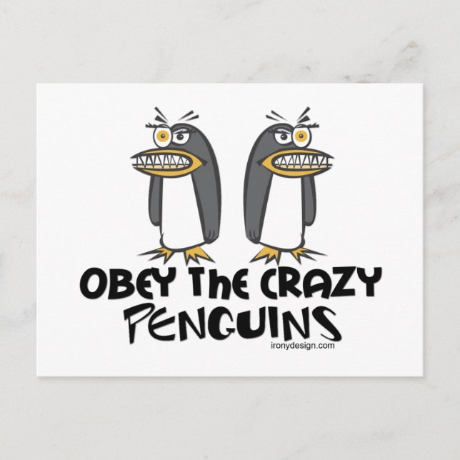 Cartão Postal Obedeça aos pinguins loucos! (Frente)