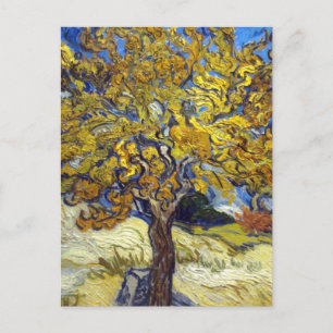 Cartão Postal Obra-Prima da Arte da Árvore de Amora de Van Gogh