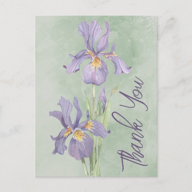 Cartão Postal Obrigado (Frente)