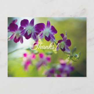 Cartão Postal Obrigado