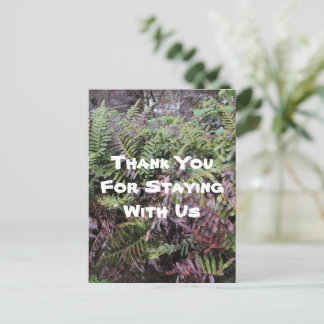 Cartão Postal Obrigado A Aluguel House Ferns Forest Cabin