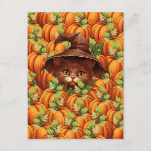 CARTÃO POSTAL OBRIGADO A PUMPKINS CUTE CAT