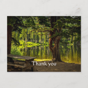 Cartão Postal Obrigado Bela Luz da Manhã Nascer do Sol Escritura