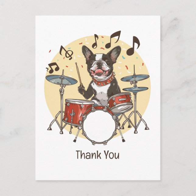 Cartão Postal Obrigado Boston Terrier Tocando Tambores (Frente)