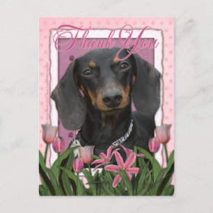 Cartão Postal Obrigado - Dachshund - Winston