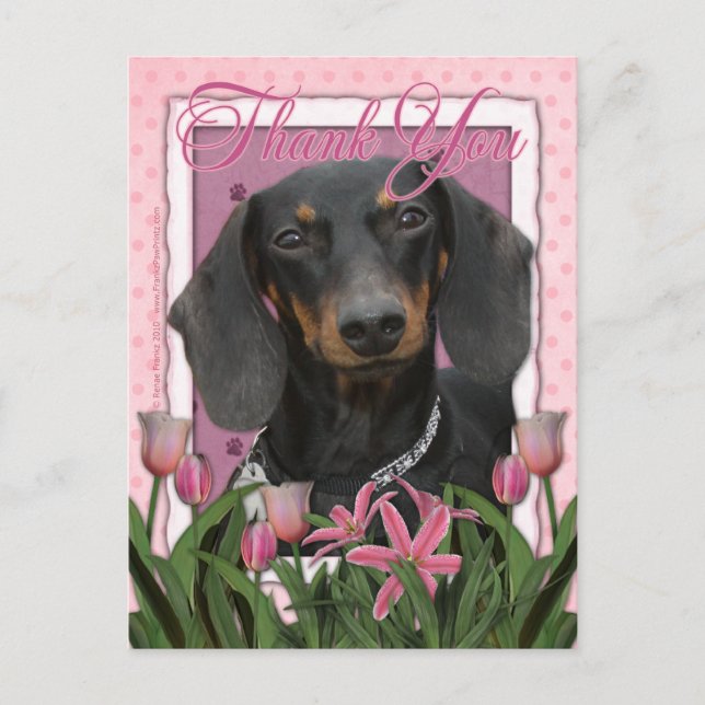 Cartão Postal Obrigado - Dachshund - Winston (Frente)