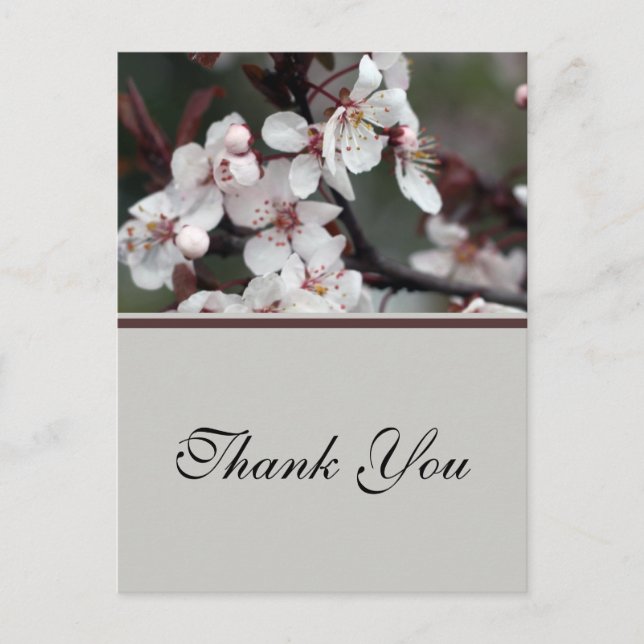 Cartão Postal obrigado de casamento, seus adesivos, cartão, etc (Frente)