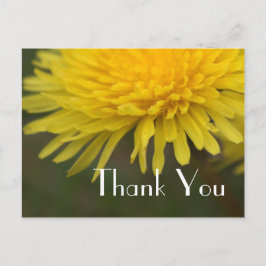 Cartão Postal obrigado de dandelion amarelo bonito