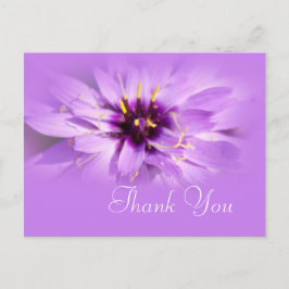 Cartão Postal Obrigado de flor de margarida roxa Elegante que vo