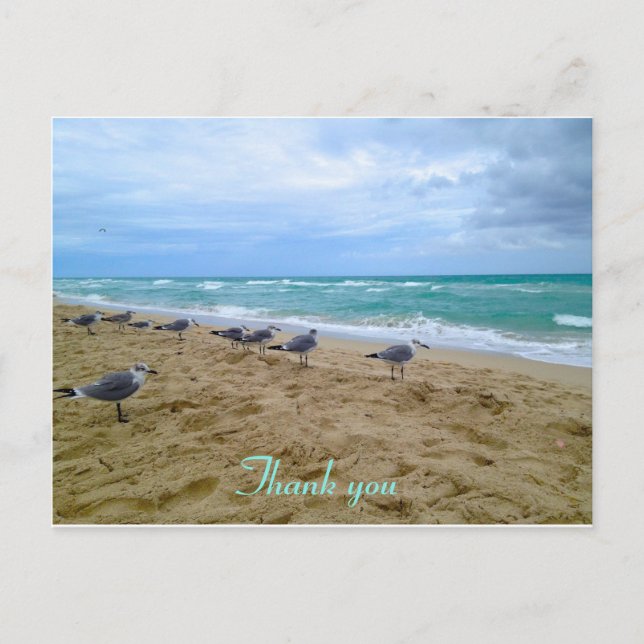 Cartão Postal Obrigado de praia de Seagull (Frente)