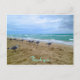 Cartão Postal Obrigado de praia de Seagull (Frente)