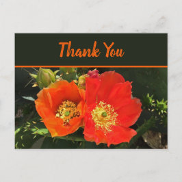 Cartão Postal Obrigado Flor Desértica Brilhante Foto Flor de Cac