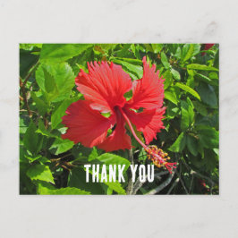 Cartão Postal Obrigado Flor Tropical Brilhante Rosa Floral