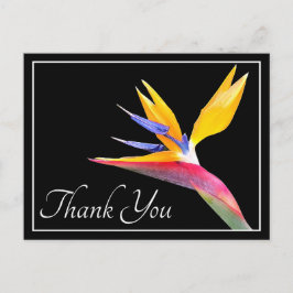 Cartão Postal Obrigado Floral Moderno Belo Ave do Paraíso