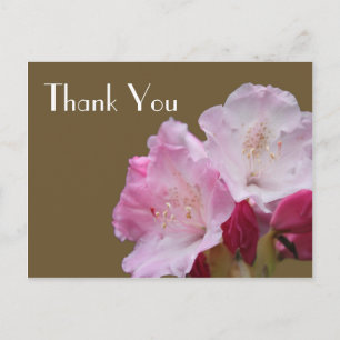Cartão Postal Obrigado, flores de azálea rosa，杜鹃花