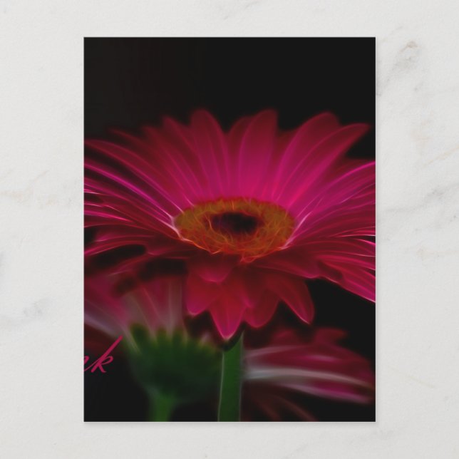 Cartão Postal Obrigado - Gerber Rosa (Frente)