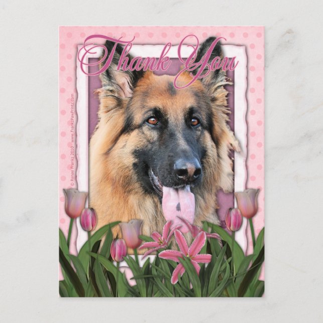 Cartão Postal Obrigado - German shepherd - Oportunidade (Frente)
