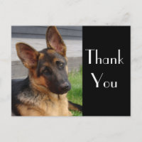 Obrigado German shepherd Puppy Dog Postar Card