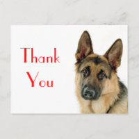 Obrigado German shepherd Puppy Dog Postar Card