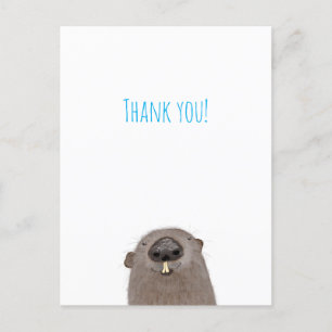 Cartão Postal Obrigado Groundhog
