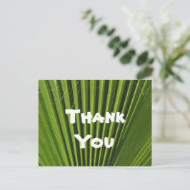 Cartão Postal Obrigado Palma Verde Tropical Folha Apreciação