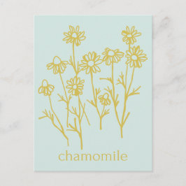 Cartão Postal Obrigado Por Apoiar Meu Negócio Camomila