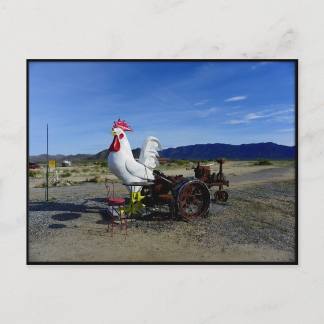 Cartão Postal Obrigado Ragnar Relay Race 2010 (Frente)