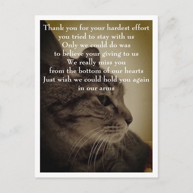 Cartão Postal Obrigado & RIP  (Frente)