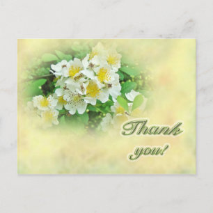 Cartão Postal Obrigado Rosas Multiflora