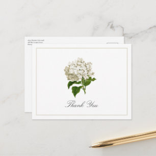 Cartão Postal Obrigado Tradicional Flor de Hortênsia Branca Crem