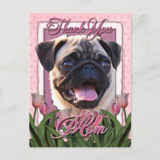 Cartão Postal Obrigado - Tulipas Rosa - Pug (Frente)