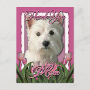 Cartão Postal Obrigado - Tulipas Rosa - West Highland Terrier
