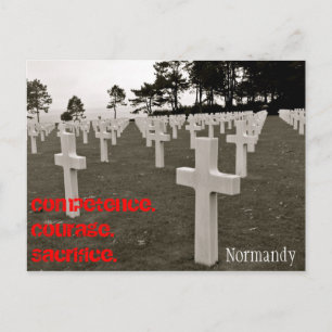 Cartão Postal Obrigado um Vet