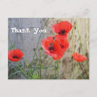 Cartão Postal Obrigado vermelho das papoilas de milho do campo