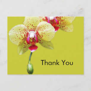 Cartão Postal obrigado você, flores amarelas da orquídea
