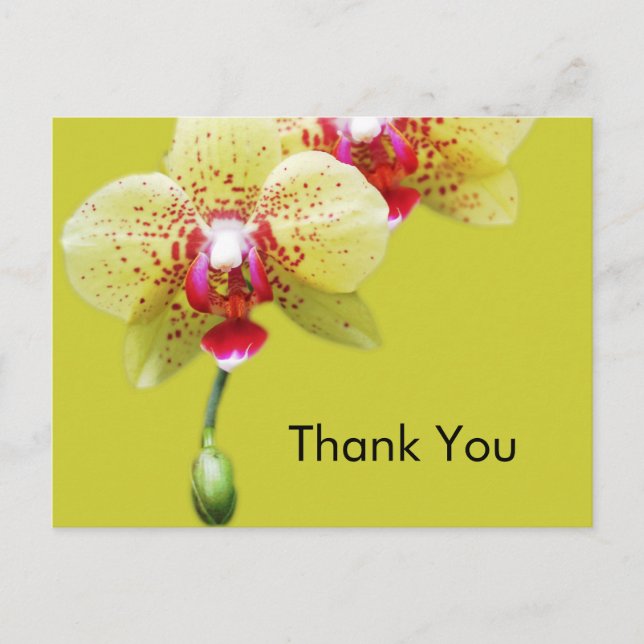 Cartão Postal obrigado você, flores amarelas da orquídea (Frente)