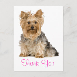 Cartão Postal Obrigado Yorkshire Terrier Puppy Dog Postcard