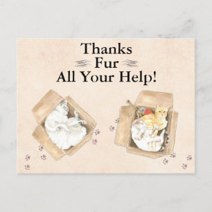 Cartão Postal Obrigados Dão Toda A Sua Ajuda! Gatos em caixas, o