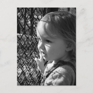 Cartão Postal observação